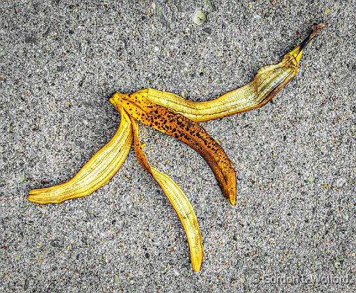 Don't Tread On Me_P1150833.jpg - Banana peel photographed at Smiths Falls, Ontario, Canada.